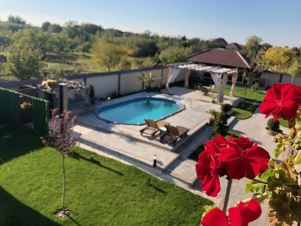 Kovac Residence Зренянин Экстерьер фото