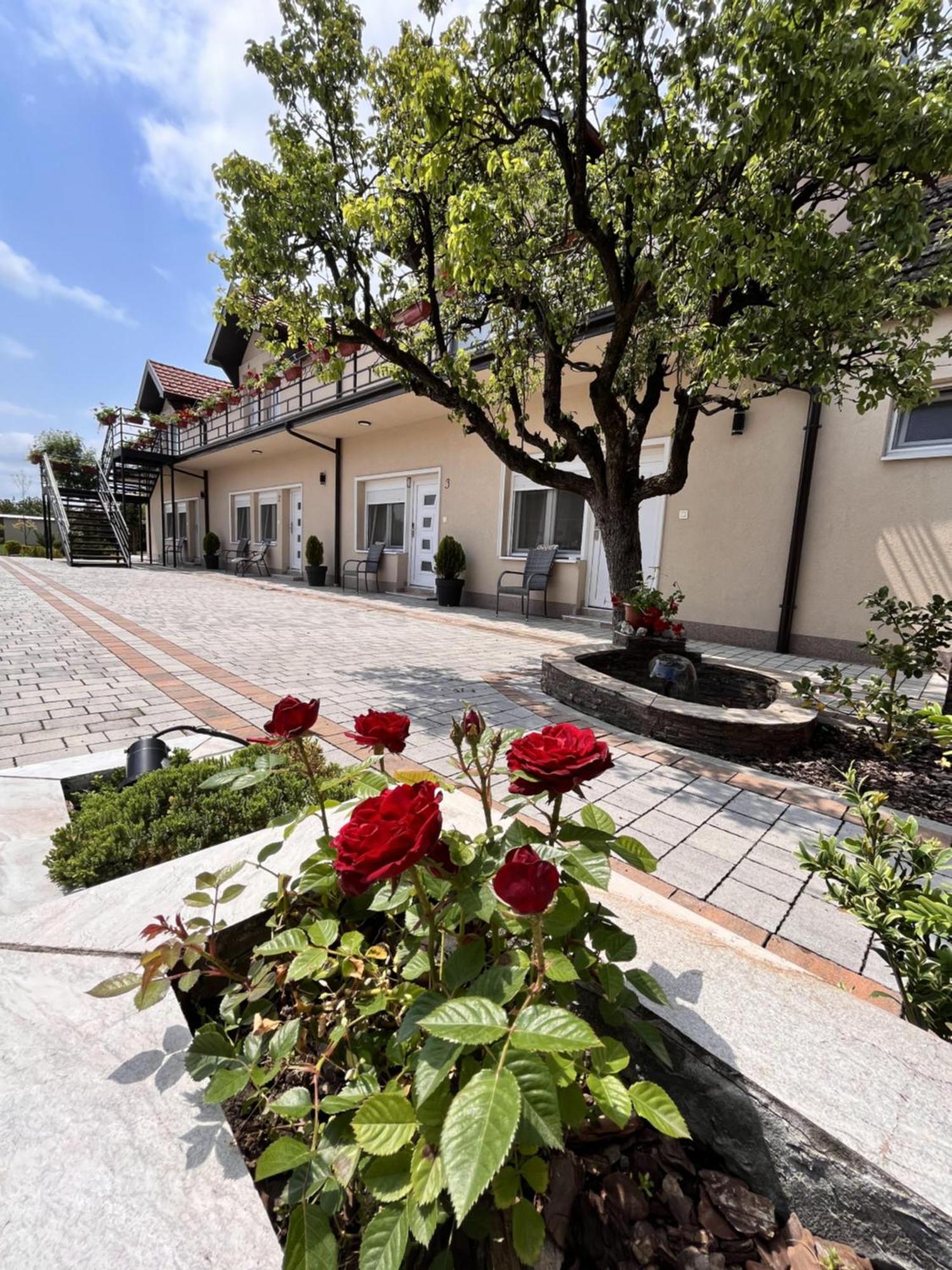 Kovac Residence Зренянин Экстерьер фото